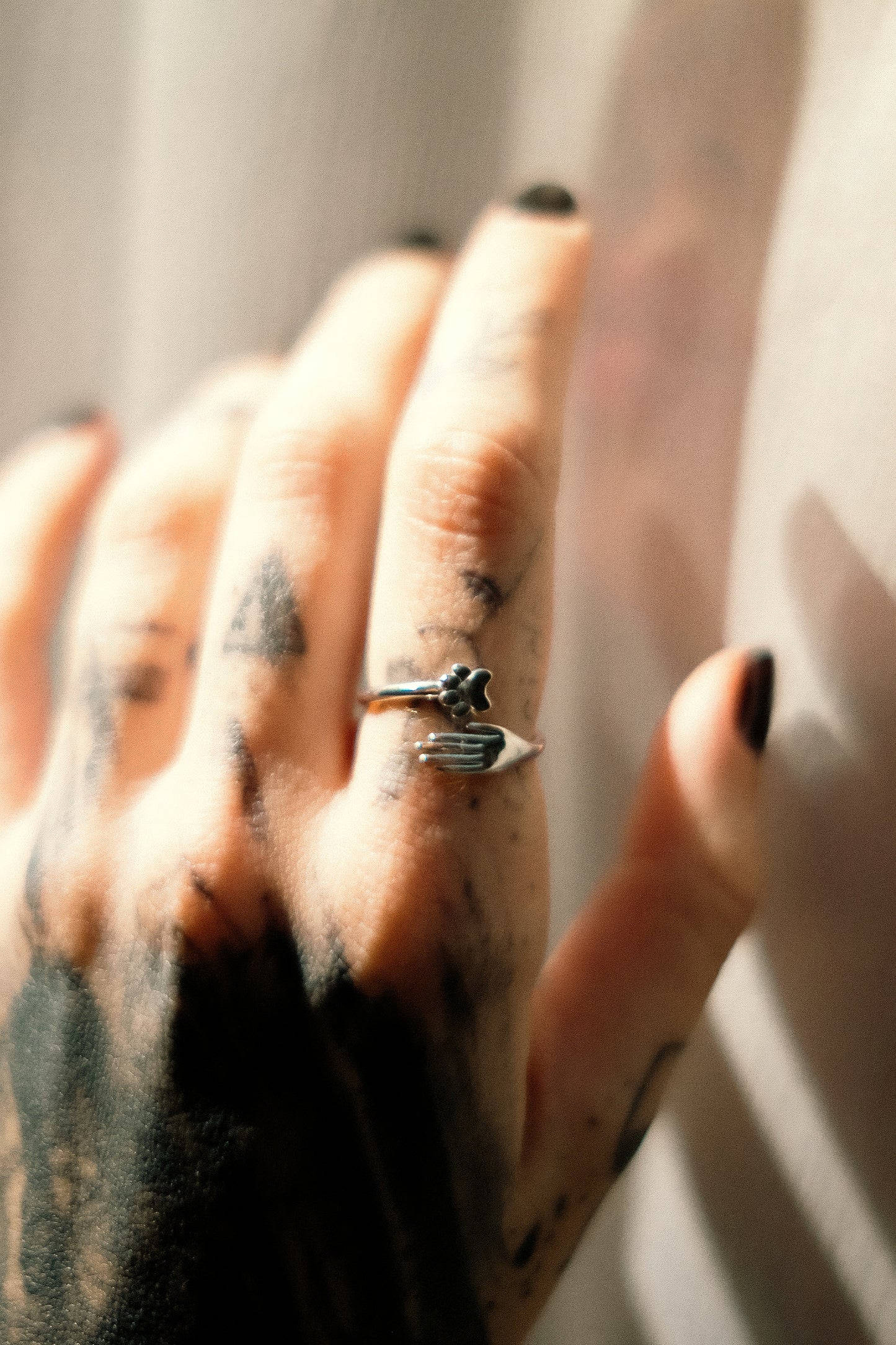Anello Complice